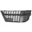 Grille de ventilation, pare-chocs avant BLIC 5513-00-0027922SP - Visuel 1