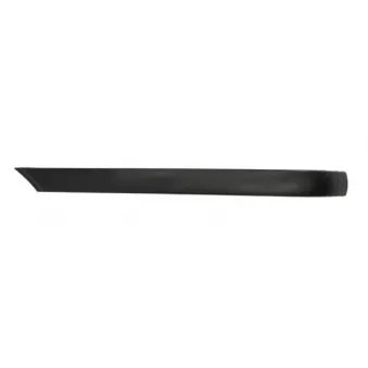 Baguette et bande protectrice, pare-chocs avant gauche BLIC 5513-00-0060971MP