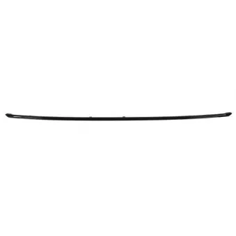 Baguette et bande protectrice, pare-chocs BLIC 5513-00-0063972P