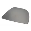 Enjoliveur, pare-chocs avant gauche BLIC 5513-00-0067921GP - Visuel 1