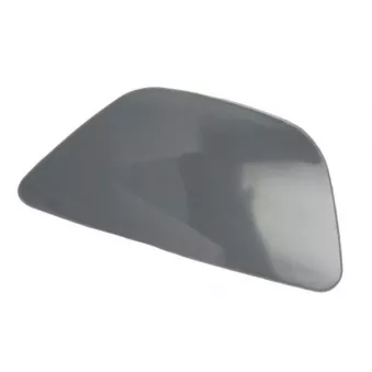 Enjoliveur, pare-chocs avant gauche BLIC 5513-00-0067925GP