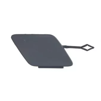 Recouvrement de pare-chocs, dispositif d'attelage avant gauche BLIC