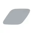 Enjoliveur, pare-chocs avant gauche BLIC 5513-00-0099921P - Visuel 1