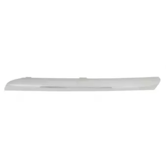 Baguette et bande protectrice, grille de radiateur avant gauche BLIC 5513-00-1632925P