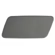 Enjoliveur, pare-chocs avant gauche BLIC 5513-00-2002921P - Visuel 1