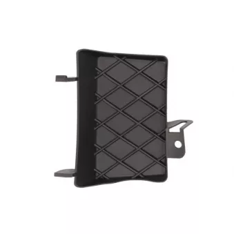 Recouvrement de pare-chocs, dispositif d'attelage avant gauche BLIC 5513-00-3206921PP