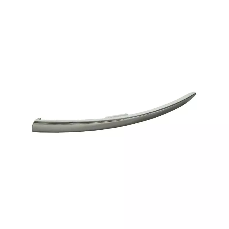 Baguette et bande protectrice, pare-chocs avant gauche BLIC 5513-00-3207923FP