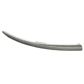 Baguette et bande protectrice, pare-chocs avant BLIC