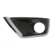 Grille de ventilation, pare-chocs avant gauche BLIC 5513-00-3217923P - Visuel 1