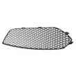 Grille de ventilation, pare-chocs avant gauche BLIC 5513-00-3535913P - Visuel 2