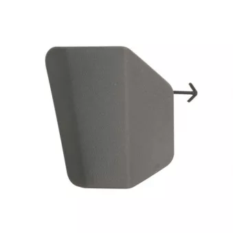 Recouvrement de pare-chocs, dispositif d'attelage avant gauche BLIC