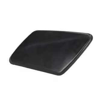 Enjoliveur, pare-chocs avant gauche BLIC 5513-00-9009911P