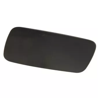 Enjoliveur, pare-chocs avant gauche BLIC 5513-00-9041911P