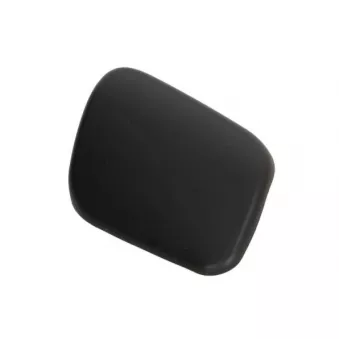 Enjoliveur, pare-chocs avant BLIC 5513-00-9057914P