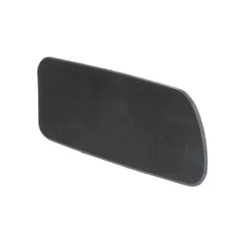 Enjoliveur, pare-chocs avant BLIC 5513-00-9586916P