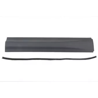 Baguette et bande protectrice, porte avant gauche BLIC 5703-04-2002571P