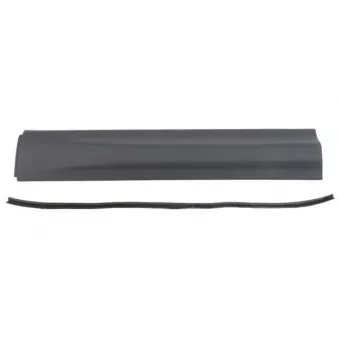 Baguette et bande protectrice, porte avant droit BLIC 5703-04-2002572P