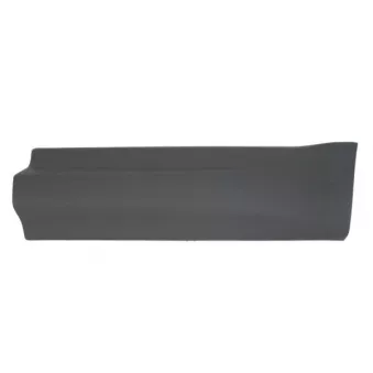 Baguette et bande protectrice, porte avant gauche BLIC 5703-04-2002573P