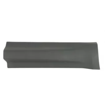 Baguette et bande protectrice, porte avant droit BLIC 5703-04-2002574P