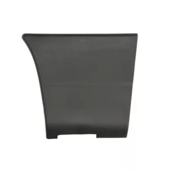 Baguette et bande protectrice, panneau latérale avant gauche BLIC