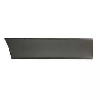 Baguette et bande protectrice, aile avant droit BLIC 5703-04-2092576P
