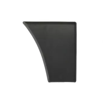 Baguette et bande protectrice, aile avant droit BLIC