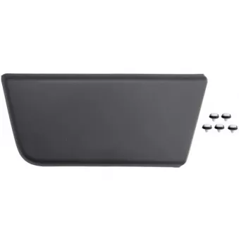 Baguette et bande protectrice, porte avant gauche BLIC 5703-04-2098571P