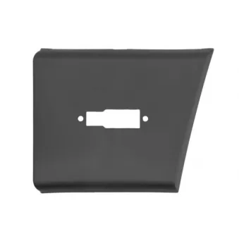 Baguette et bande protectrice, panneau latérale avant gauche BLIC 5703-04-2098573P