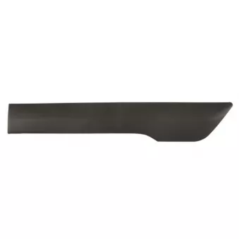 Baguette et bande protectrice, panneau latérale avant gauche BLIC