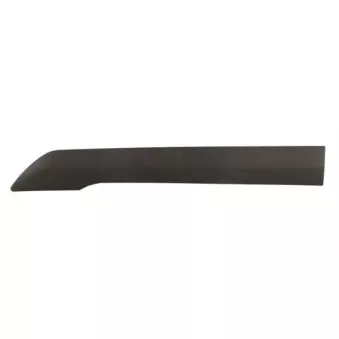 Baguette et bande protectrice, panneau latérale avant gauche BLIC 5703-04-2508583P