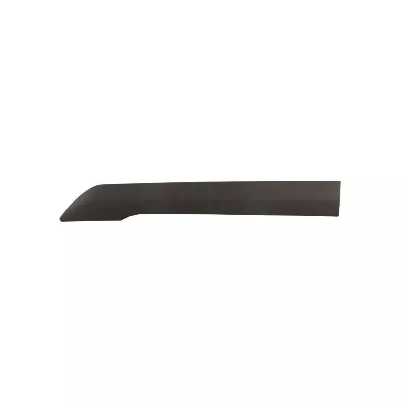 Baguette et bande protectrice, panneau latérale avant gauche BLIC 5703-04-2508583P