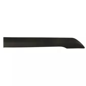 Baguette et bande protectrice, panneau latérale avant droit BLIC 5703-04-2508584P