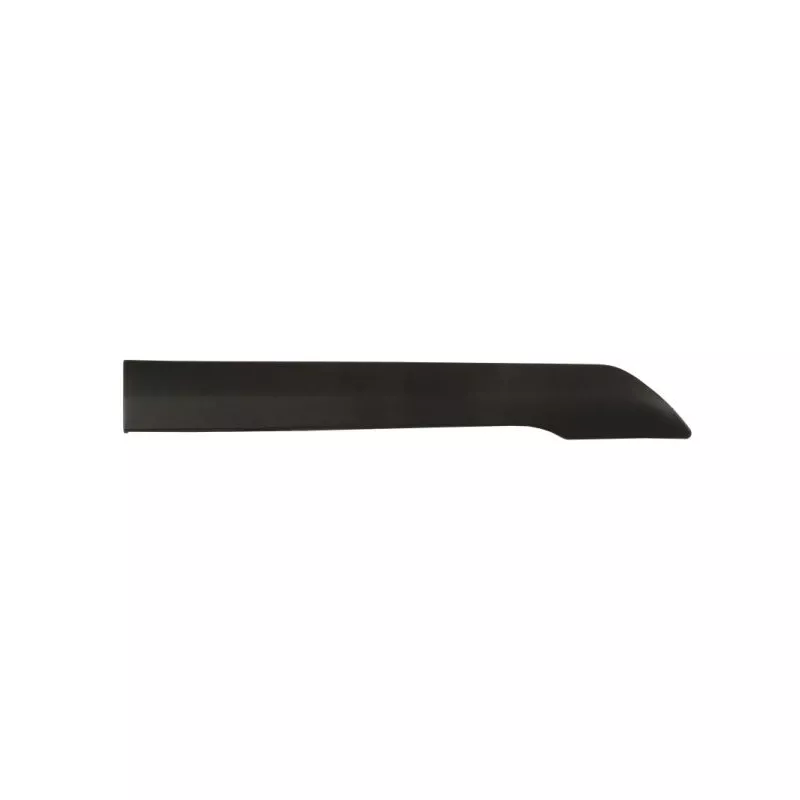 Baguette et bande protectrice, panneau latérale avant droit BLIC 5703-04-2508584P