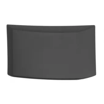 Baguette et bande protectrice, panneau latérale avant gauche BLIC