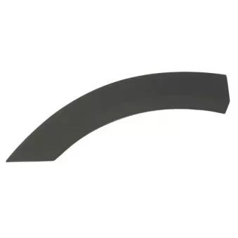 Baguette et bande protectrice, aile arrière gauche BLIC 5703-04-2595477P