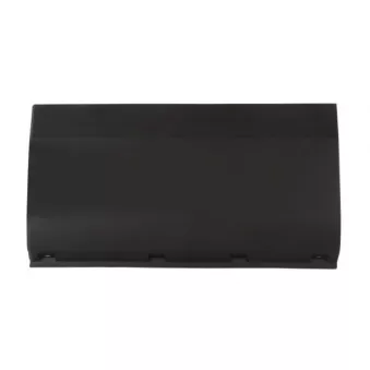 Baguette et bande protectrice, panneau latérale avant droit BLIC