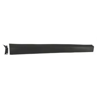 Baguette et bande protectrice, porte avant droit BLIC 5703-04-3493572P
