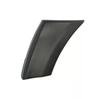 Baguette et bande protectrice, aile avant droit BLIC