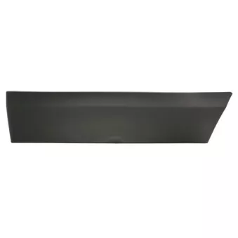 Baguette et bande protectrice, porte avant gauche BLIC