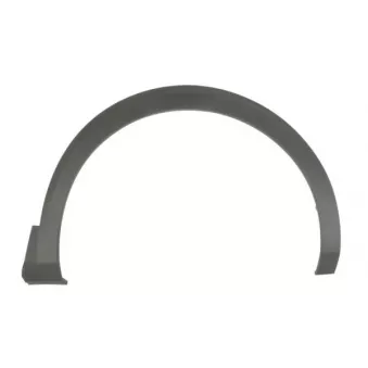 Baguette et bande protectrice, aile avant droit BLIC 5703-04-5547428P