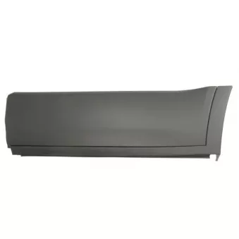 Baguette et bande protectrice, porte avant gauche BLIC 5703-04-6456571P