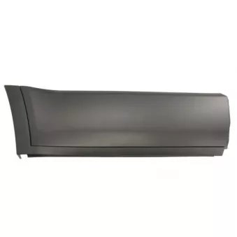 Baguette et bande protectrice, porte avant droit BLIC 5703-04-6456572P