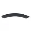 Baguette et bande protectrice, porte avant gauche BLIC 5703-04-6456573P - Visuel 1
