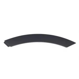 Baguette et bande protectrice, porte avant gauche BLIC 5703-04-6456573P
