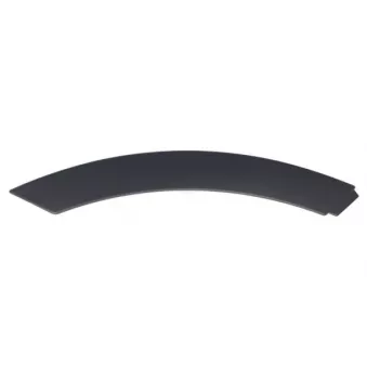 Baguette et bande protectrice, porte avant droit BLIC 5703-04-6456574P