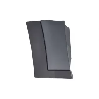 Baguette et bande protectrice, aile avant gauche BLIC 5703-04-6456581P