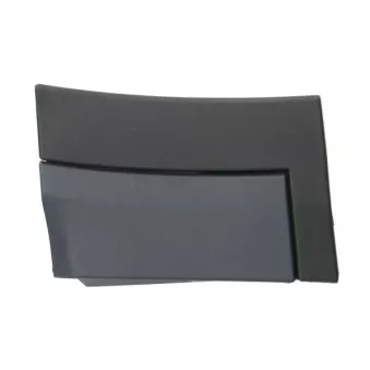 Baguette et bande protectrice, aile avant droit BLIC 5703-04-6456582P