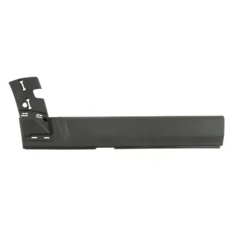 Baguette et bande protectrice, porte avant droit BLIC