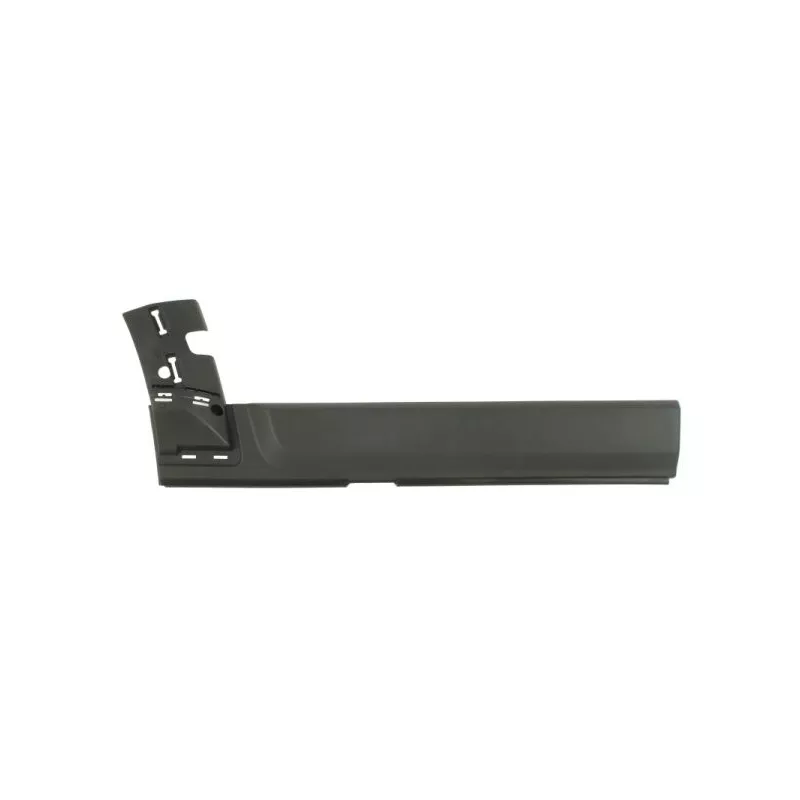 Baguette et bande protectrice, porte avant droit BLIC 5703-04-6490574P
