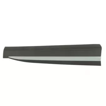 Baguette et bande protectrice, porte avant droit BLIC 5703-04-7802572P